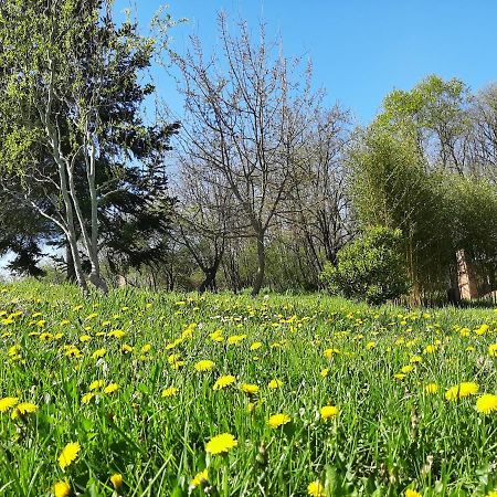 Chambre Soignee Et Accueillante A La Campagne - Ch. Jaune L'Honor-de-Cos Dış mekan fotoğraf