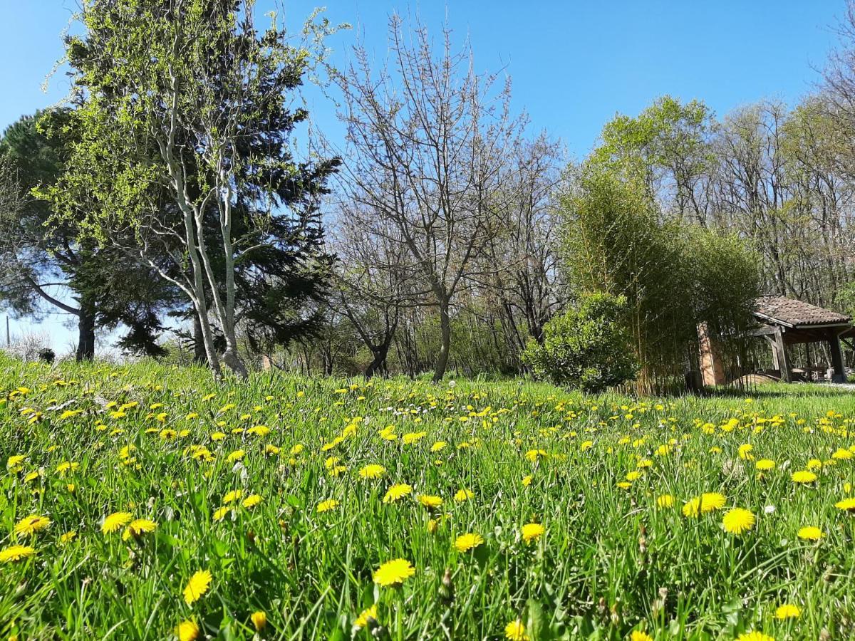 Chambre Soignee Et Accueillante A La Campagne - Ch. Jaune L'Honor-de-Cos Dış mekan fotoğraf